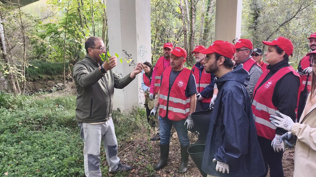 Voluntariado ambiental