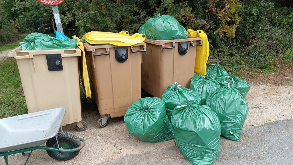 Voluntariado ambiental